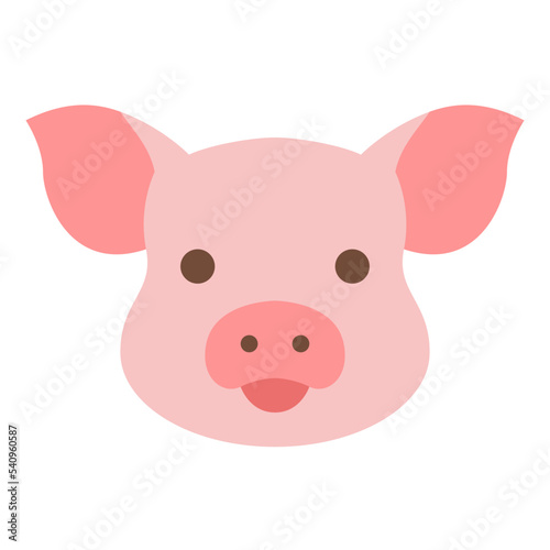 pig animal