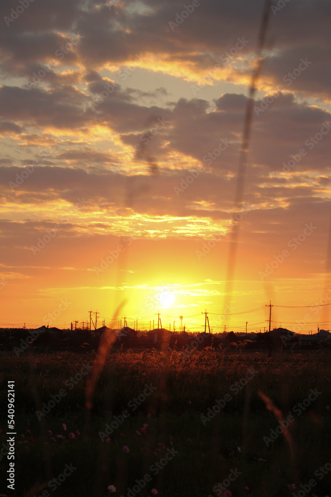 Naklejka premium 秋の朝焼け