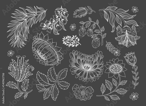 Collection vintage floral motif. William Moriss style art and craft movement. Design outline flower symbol.