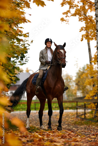 Portrait of a pretty young woman with a brown horse riding autumn day © Georgii