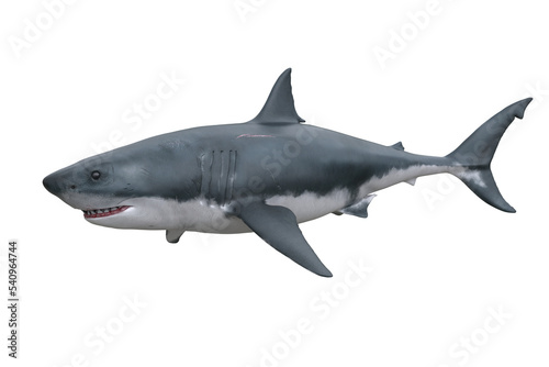 Great White Shark. 3D render isolated on transparent background.