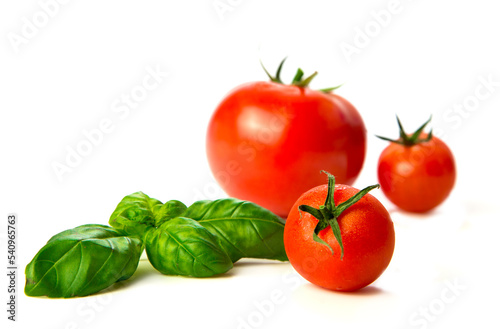 Fresh tomatoes and basil on white background