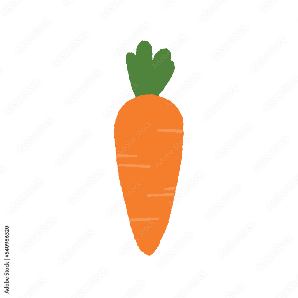 Hand drawn cute carrot vector isolated on white background. 