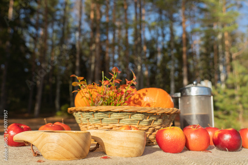 A beautiful basket with pumpkins, red apples, a teapot and black tea in wooden mugs on a table covered with a canvas tablecloth. Autumn still life on the background of the forest.