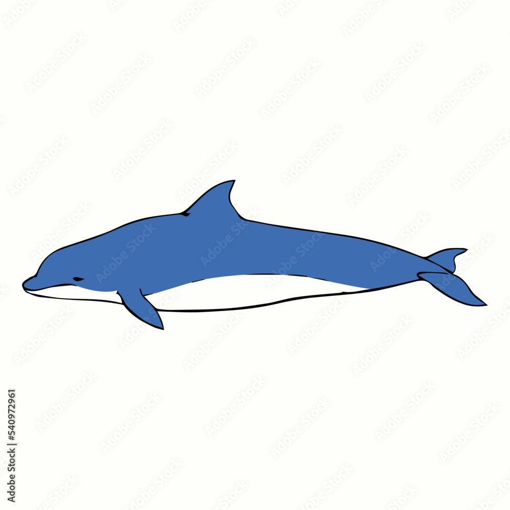 Obraz premium dolphin isolated on white background