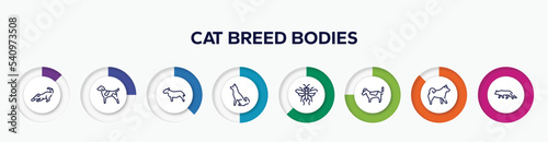 infographic element with cat breed bodies outline icons. included dogs playing, german shorthaired pointer, bullterrier, akitas, sawfly, jack russell terrier, malamute, snowshoe cat vector.
