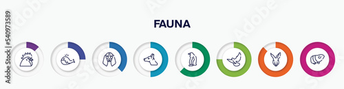 infographic element with fauna outline icons. included chiken head, big whale, bas hound dog head, doberman dog head, sitting penguin, flying dove, kangaroo guinea pig heag vector.