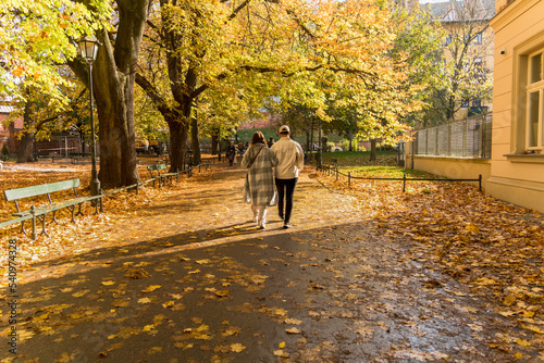 A couple of lovers walk along the alley of the park on a sunny autumn day after the rain, the play of light and shadow on golden leaves, long shadows, background image of autumn, rear view