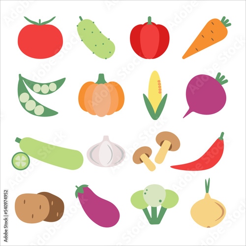 Fototapeta Naklejka Na Ścianę i Meble -  Vegetables icon set. Tomato, cucumber, pepper, carrot, pumpkin, onion and etc. Color vector illustrations in flat style
