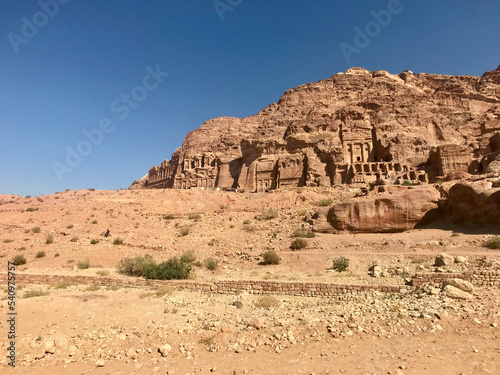 Petra, Jordan, November 2019 - A close up of a desert field with Petra in the background