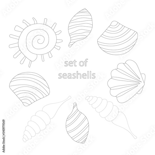 Set of sea shells. Coloring book - vector illustration, eps