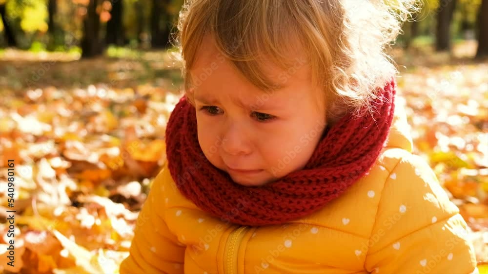 The child is crying in the autumn park. Selective focus. The child is crying in the autumn park. Selective focus.