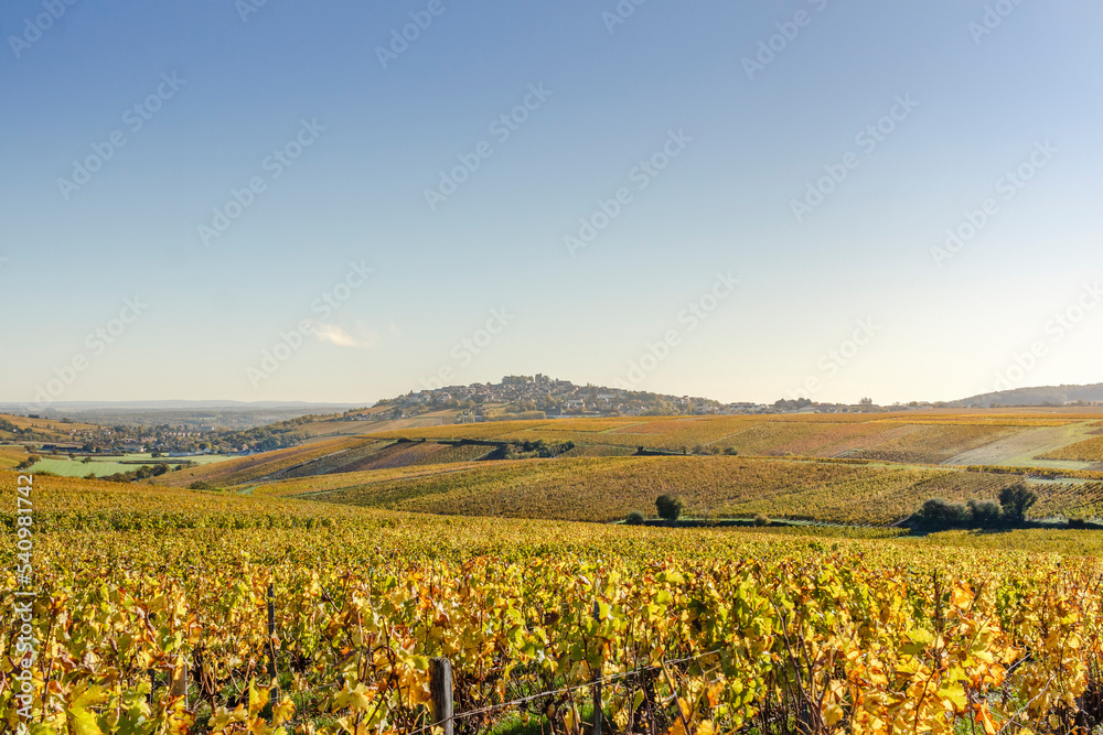 Sancerrois vineyard in autumn, vineyard landscape with Sancerre village labelled The Most Beautiful Villages of France