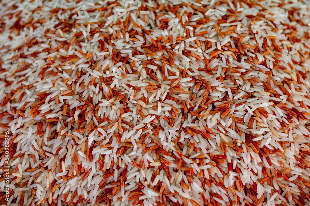 Fototapeta premium Mix rice