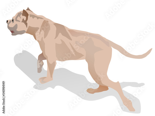 illustration of a dog