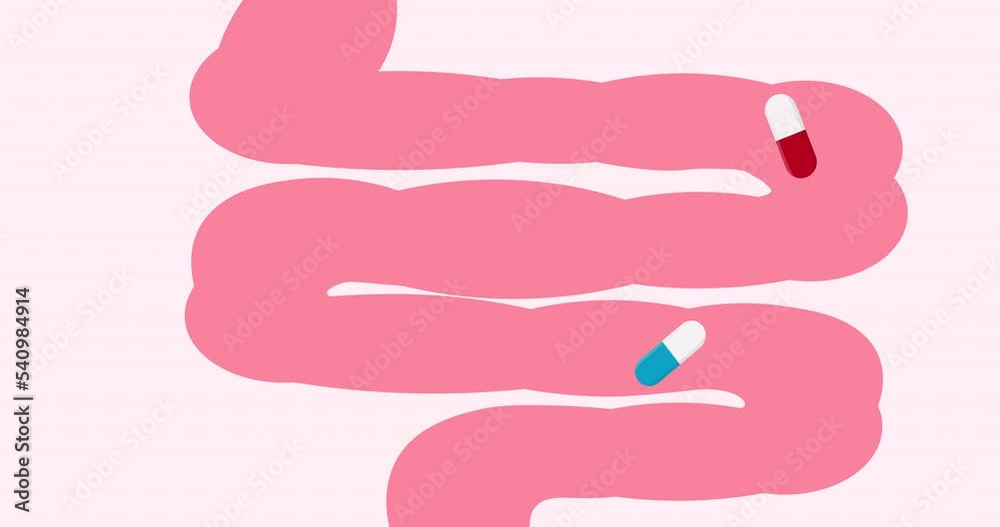 Human's intestines view with red and blue pills within. The antibiotics and probiotics impact on the microbiome of organism. Animation. Top view Human's intestines view with red and blue pills within. The antibiotics and probiotics impact on the microbiome of organism. Animation. Top view