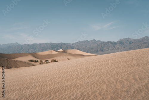 Sand dunes in the Desert