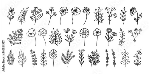 Hand drawn herbal, floral clipart collection. One line doodle vector set