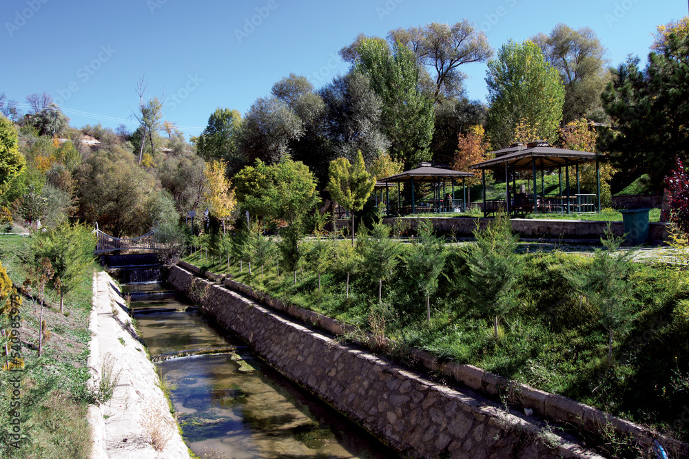 wooden bridge in the forest, wooden bridge over the river,