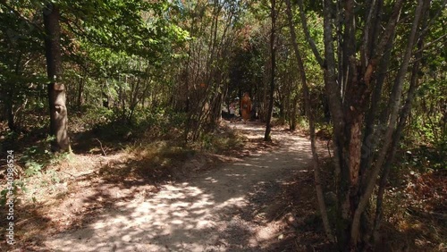 Woman and boy are walking in the forest in shadows of trees