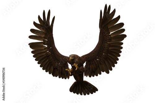 Golden Eagle attacking with claws, 3D illustration isolated on transparent background.