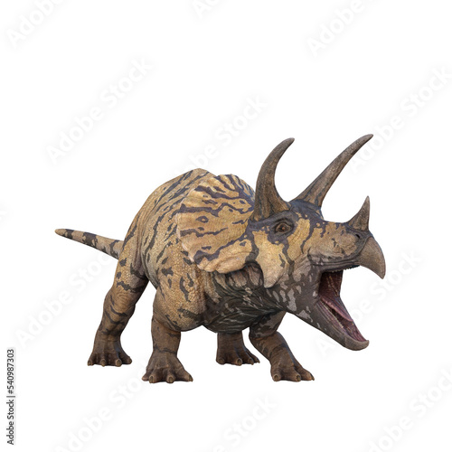 Triceratops dinosaur in aggressive pose with mouth wide open. 3D illustration isolated on transparent background.
