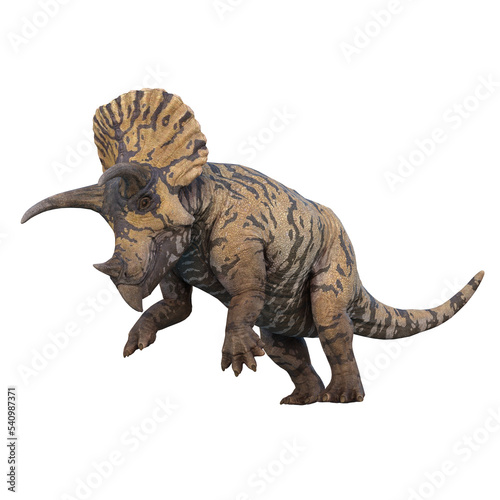 Triceratops dinosaur standing on hind legs. 3D illustration isolated on transparent background.