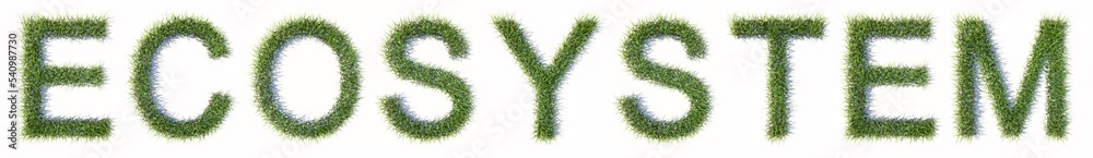 © high_resolution - Concept or conceptual green lawn grass forming the ECOSYSTEM text isolated on white background. 3d illustration metaphor for environent, nature,biodiversity, ecology, conservation and protection © high_resolution - Concept or conceptual green lawn grass forming the ECOSYSTEM text isolated on white background. 3d illustration metaphor for environent, nature,biodiversity, ecology, conservation and protection