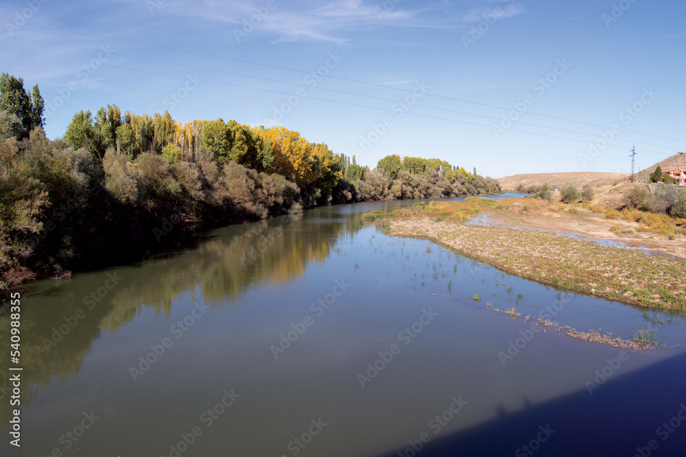 landscape with lake and trees, lake in the forest, landscape with lake