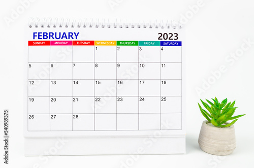 The February 2023 Monthly desk calendar for 2023 year with plant pot isolated on white background.