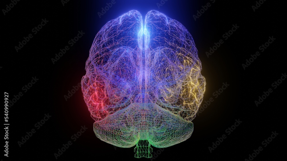 Colorful glowing wireframe human brain. Transparent wire frame brain with various colored lights inside. Black background. 3d render illustration Colorful glowing wireframe human brain. Transparent wire frame brain with various colored lights inside. Black background. 3d render illustration