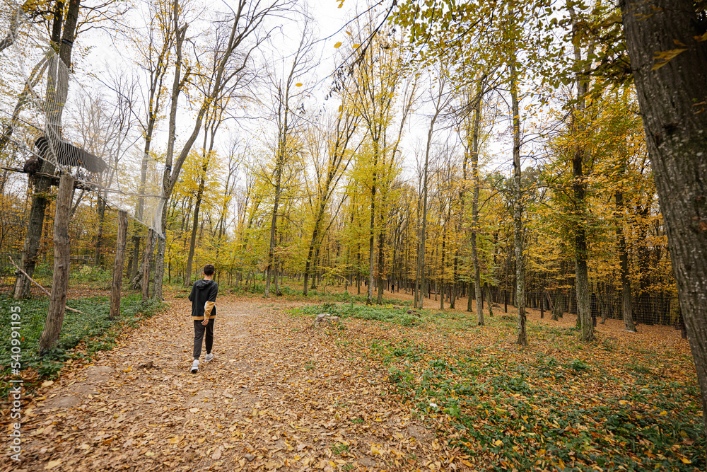 Boy on a walk in autumn forest. Boy on a walk in autumn forest.