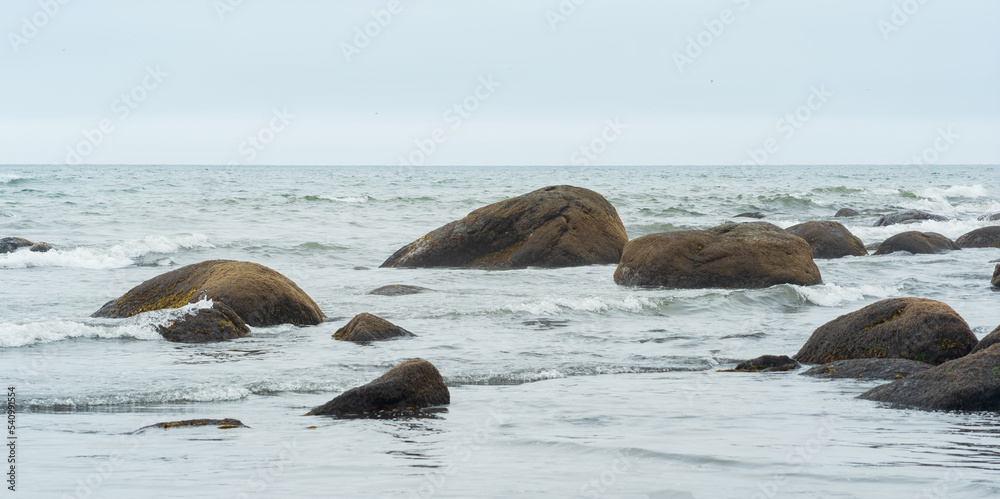 Fototapeta premium algae-covered coastal boulders in the surf