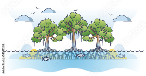Mangrove trees with underwater roots system as tropical plant outline concept. Living flora in wet environment and coastal saline or brackish water areas vector illustration. Exotic botany vegetation. photo