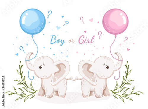 Boy or girl. He or she. Gender reveal invitation or banner template with baby elephants and helium balloons. Vector illustration