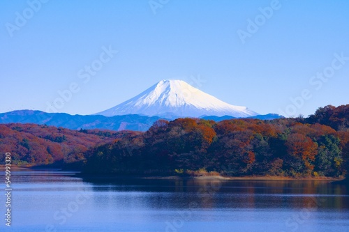 Fotografia Mont Fuji avec un lac en premier plan et des arbres