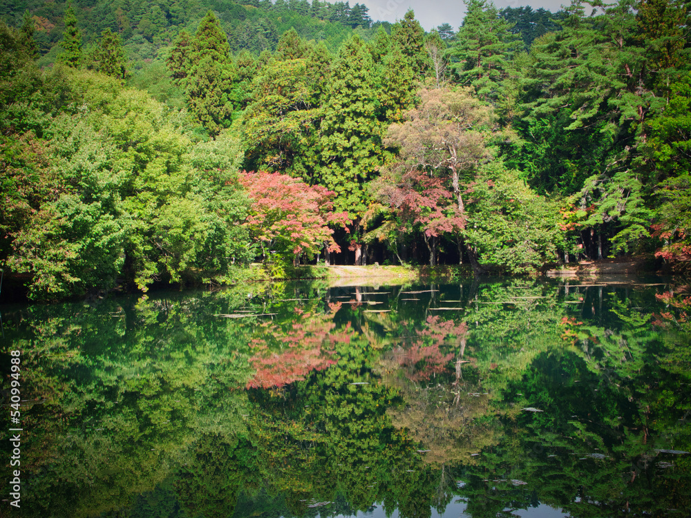 湖面に反射する木々（伊奈ヶ湖）