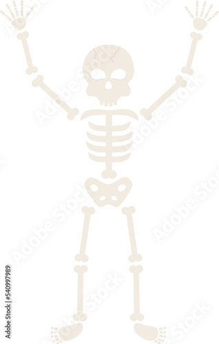 This is a skeleton