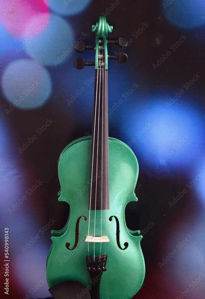 Fototapeta premium violin on black