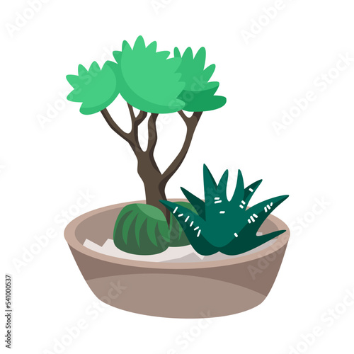 Composition of tropical tree, cactus and succulent in pot isolated on white background. House plant cartoon vector illustration. Florarium, terrarium, botanical interior concept