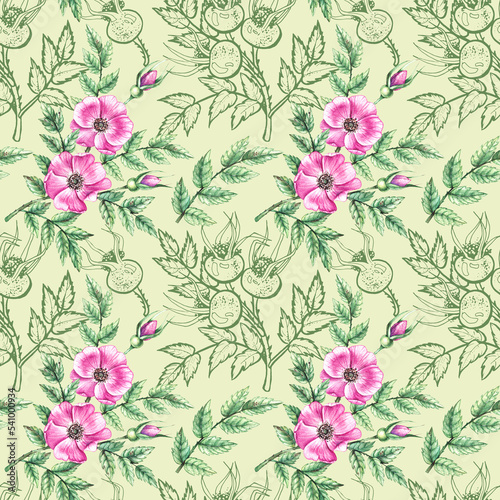 Watercolor Rosehip pattern © SashaKondr