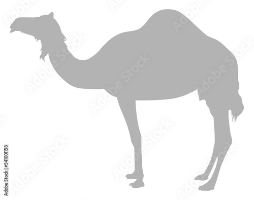 Camel Silhouette for Logo  Pictogram  Art Illustration or Graphic Design Element. Vector Illustration 