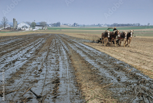 An Amish man spreading manure on his farm in Lancaster County, PA. photo
