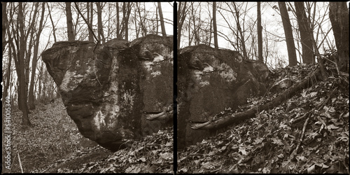 A diptych of a large rock in the forest of Western Pennsylvania.