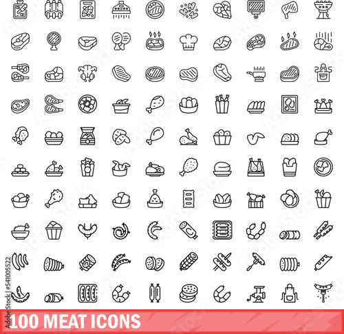 100 meat icons set. Outline illustration of 100 meat icons vector set isolated on white background