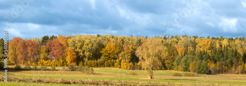 panorama october landscape - autumn sunny day, beautiful trees with colorful leaves, Poland, Europe, Podlasie, forest near the cultivated field