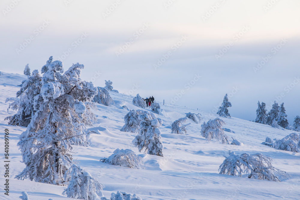 Winter landscape in Pallas Yllastunturi National Park, Lapland, Finland Winter landscape in Pallas Yllastunturi National Park, Lapland, Finland