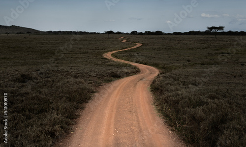 A dirt road safari winds through the bush in northern Kenya. photo