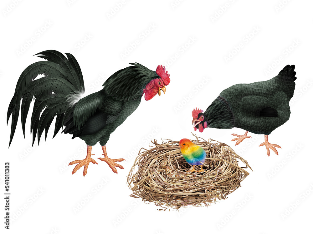 Poussin Vert coq, poussin, poule, oiseau, en or, ferme, oeuf, coloré, étonné ...