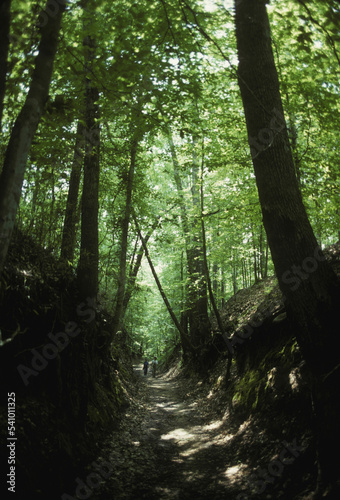 Natchez Trace photo